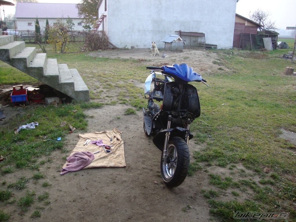 Photo 2294356