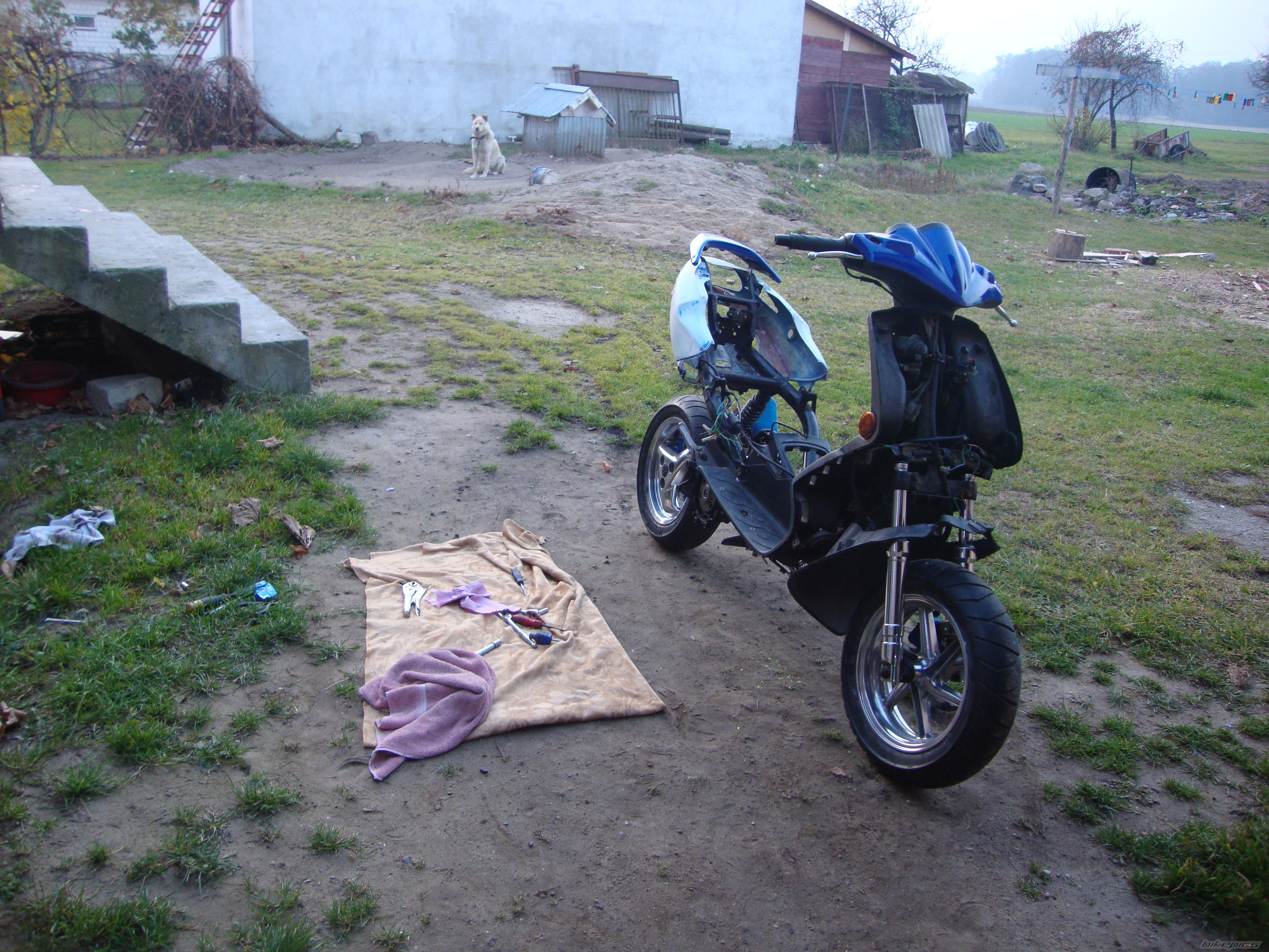 Photo 2294368