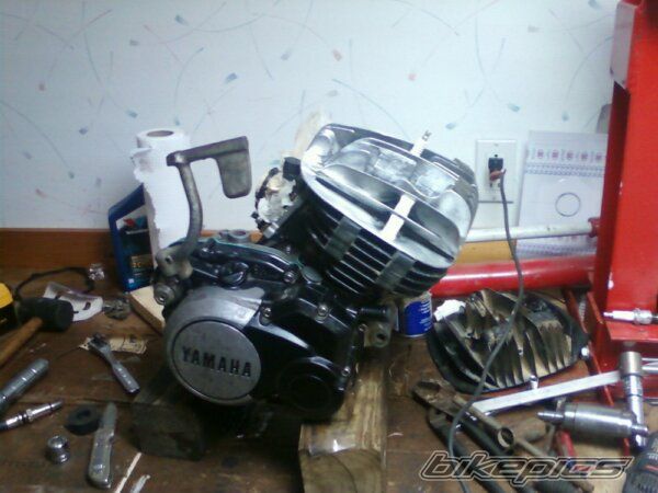 Photo 2294420