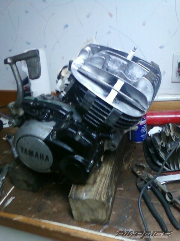 Photo 2294421