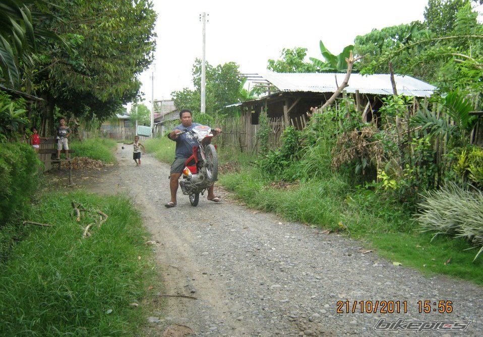 Photo 2294444