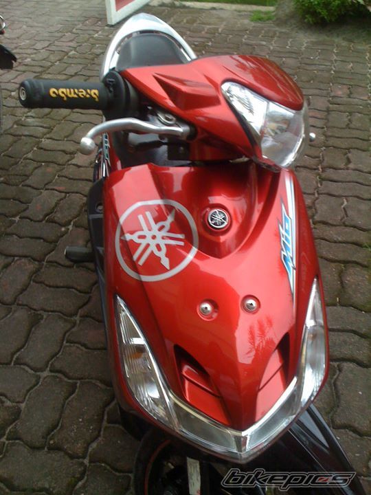 Photo 2294452