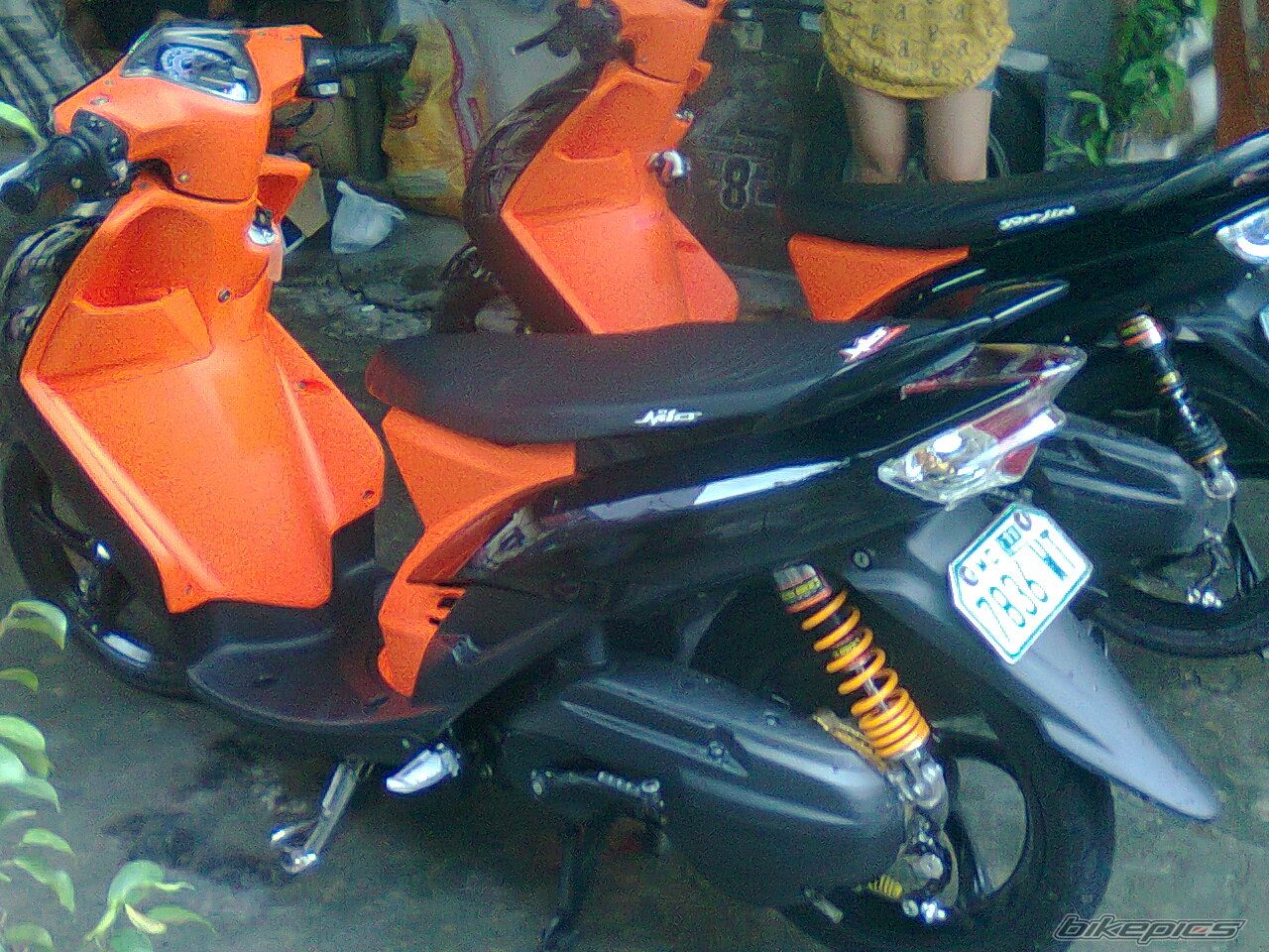 Photo 2294468