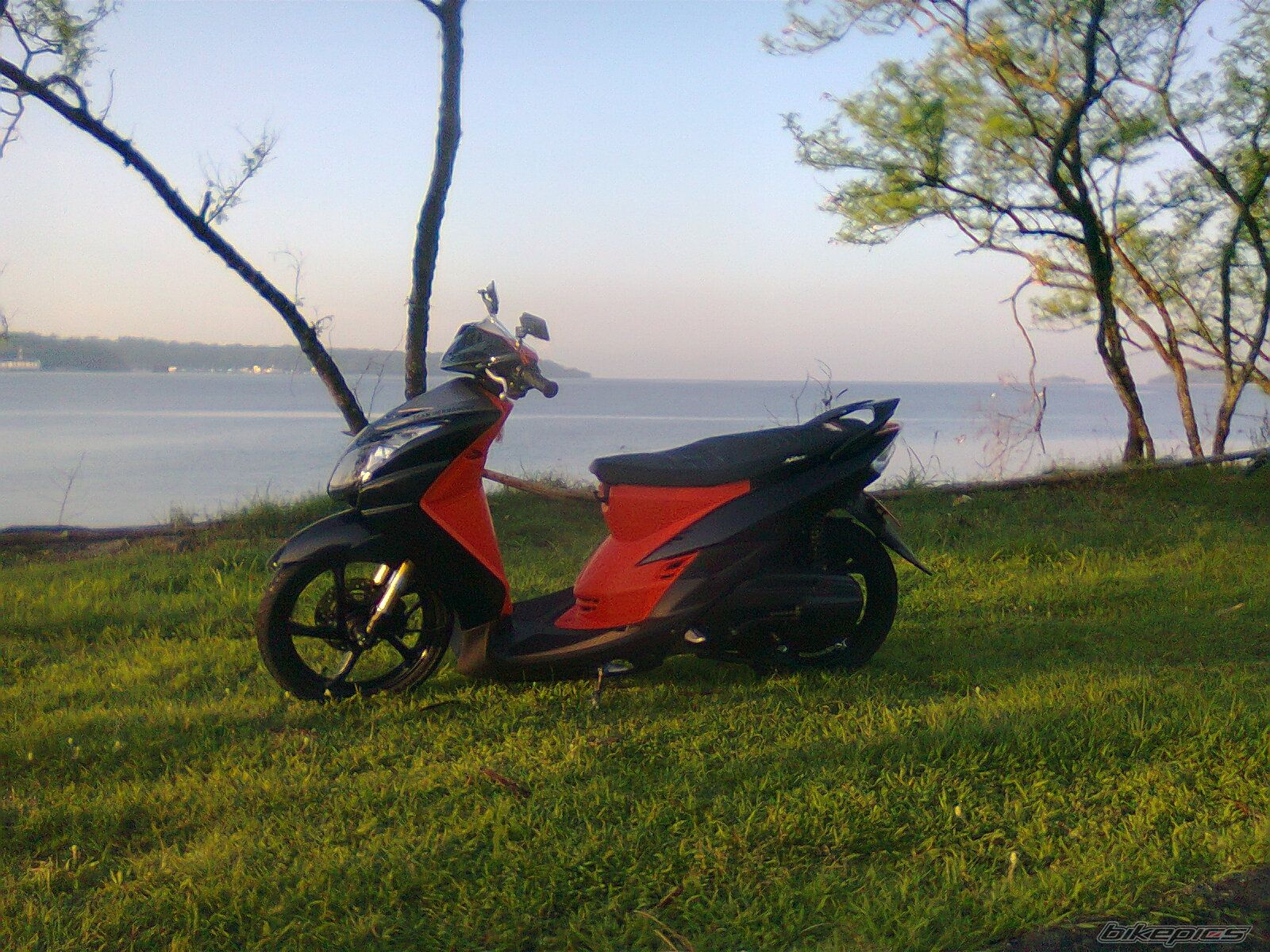 Photo 2294471
