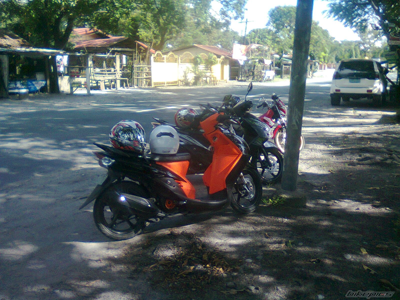 Photo 2294473