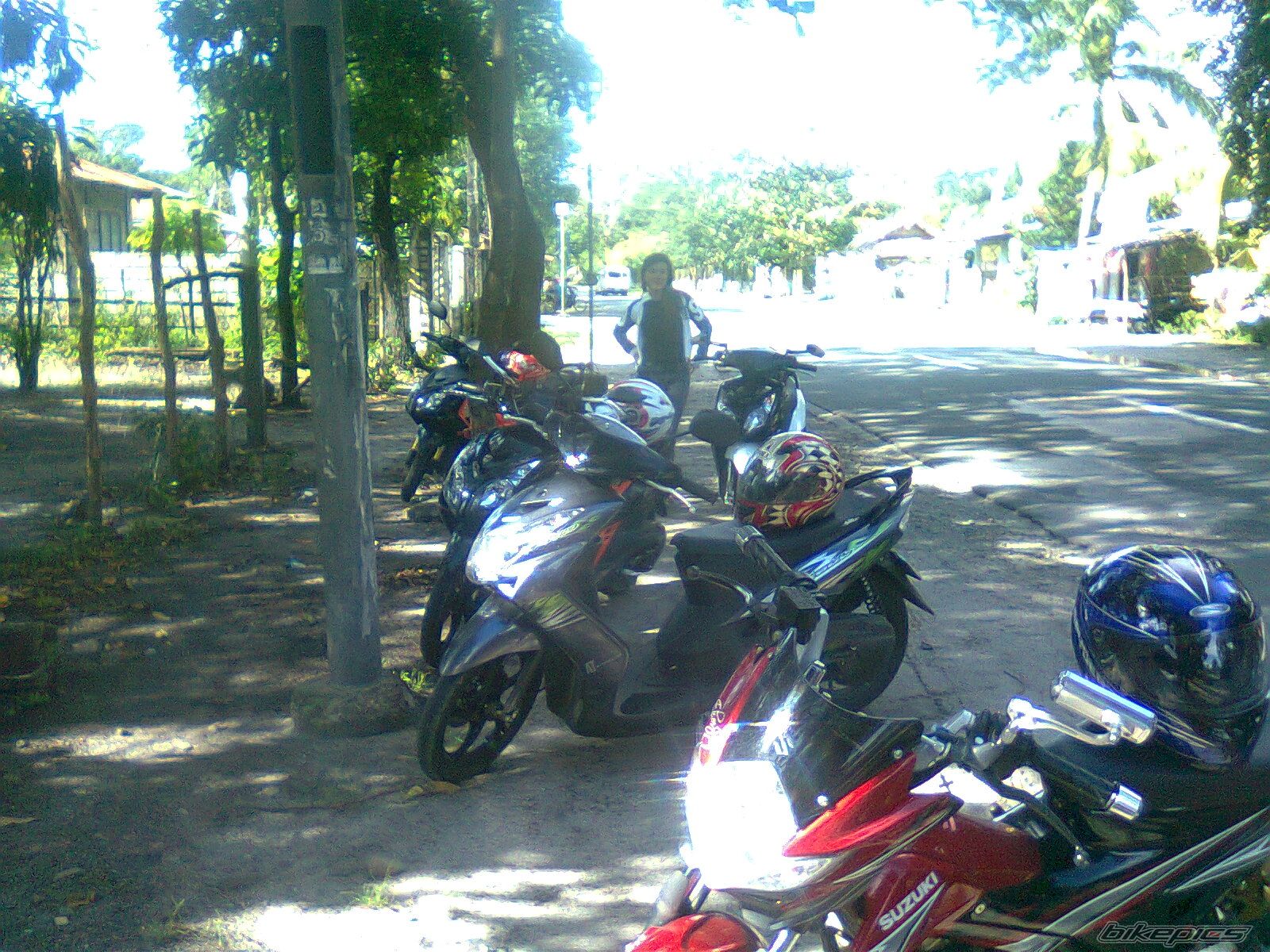 Photo 2294474