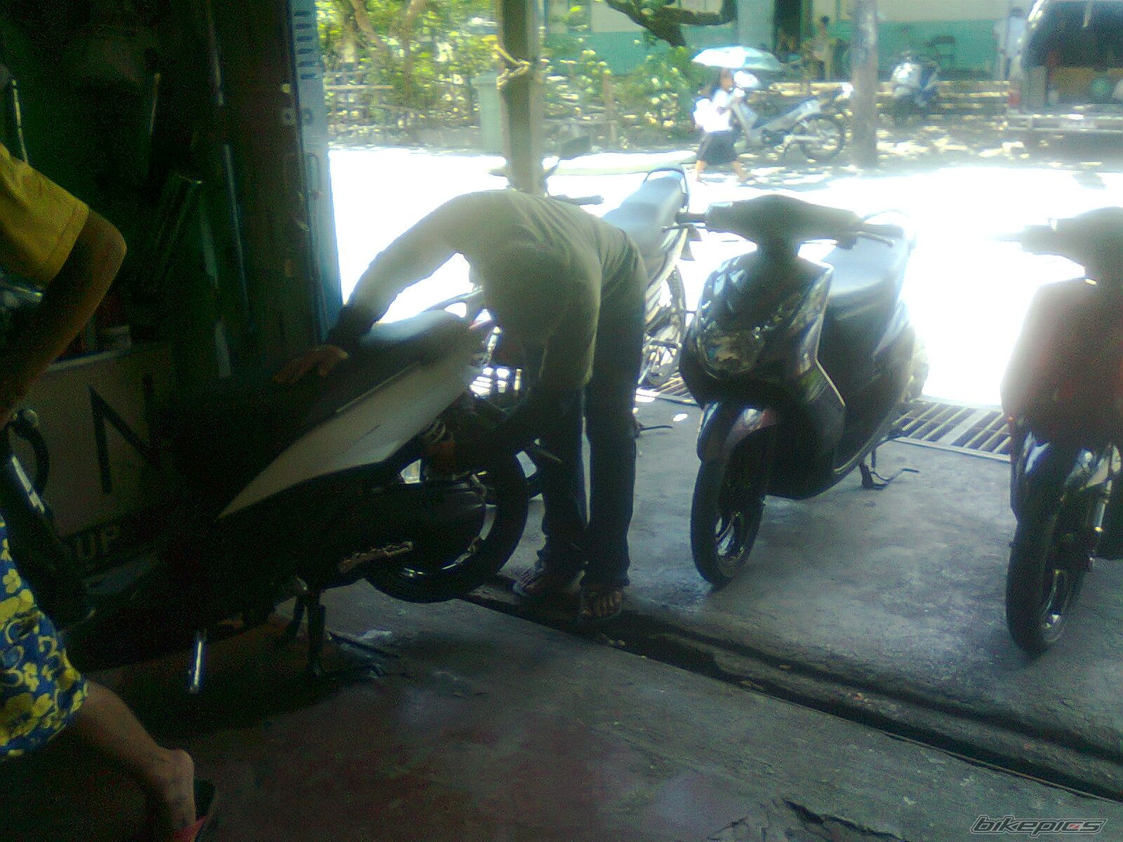 Photo 2294475