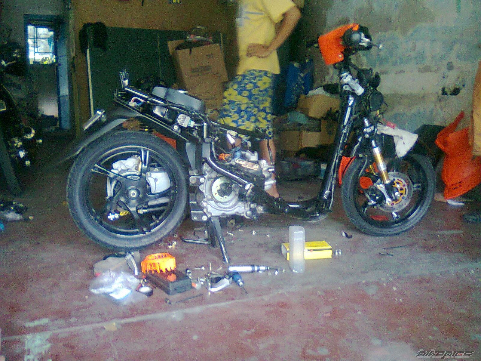 Photo 2294476