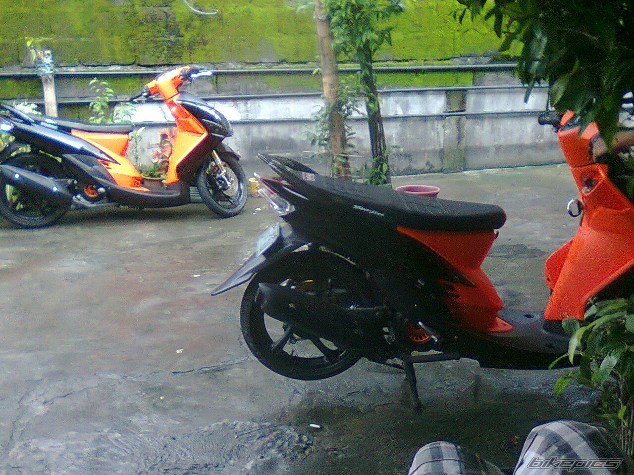 Photo 2294496