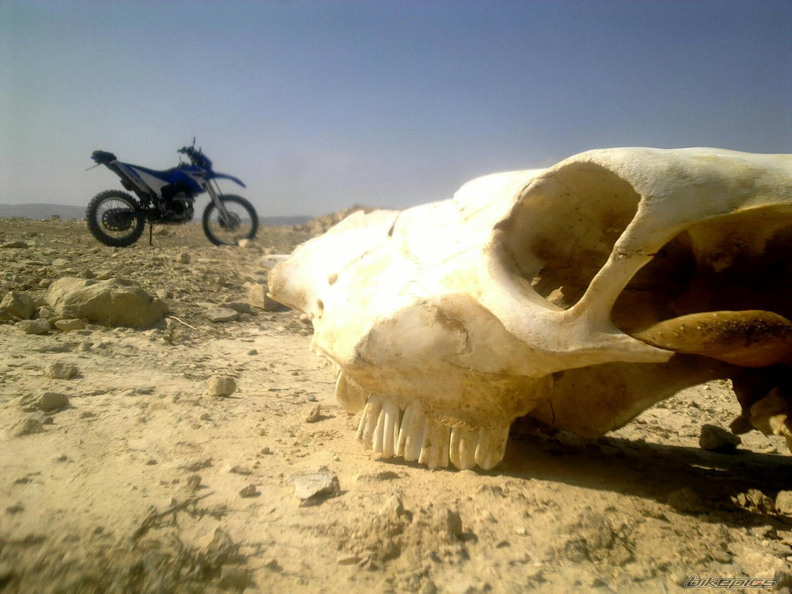 Photo 2294503
