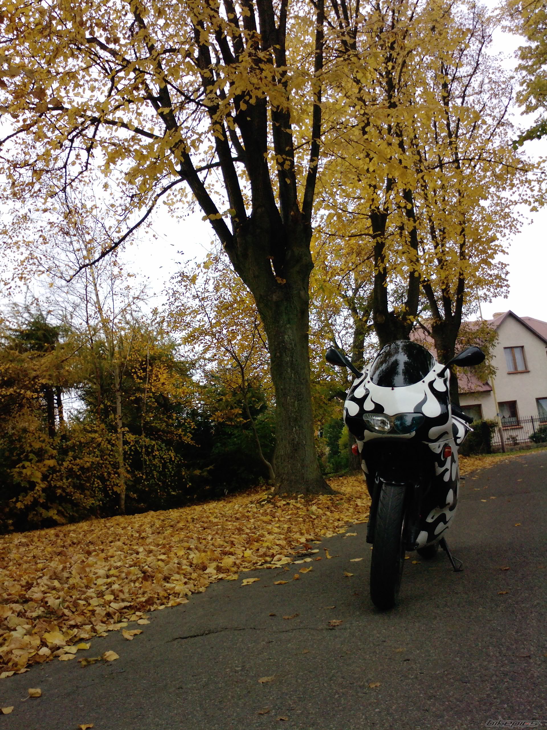 Photo 2294523