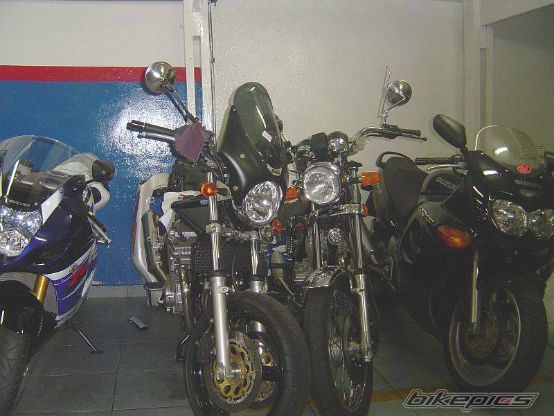 Photo 229465