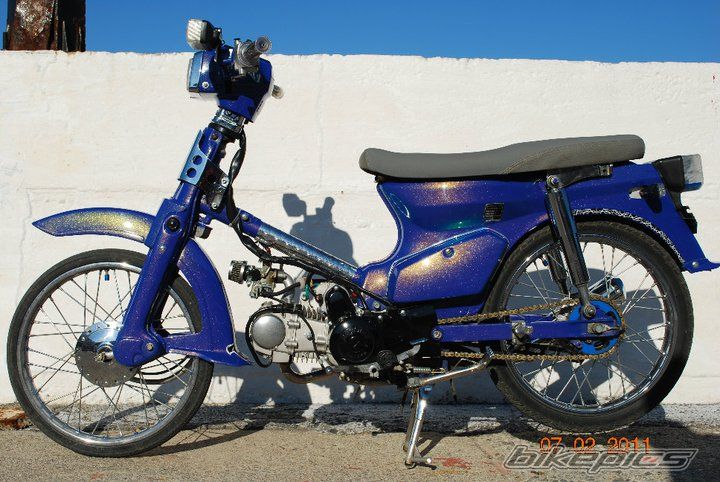 Photo 2294655