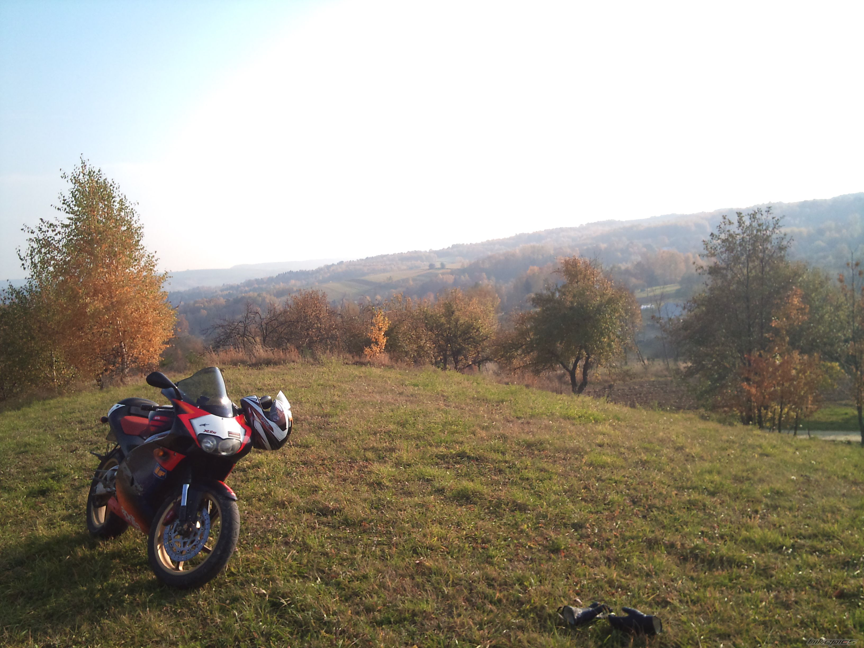 Photo 2294663