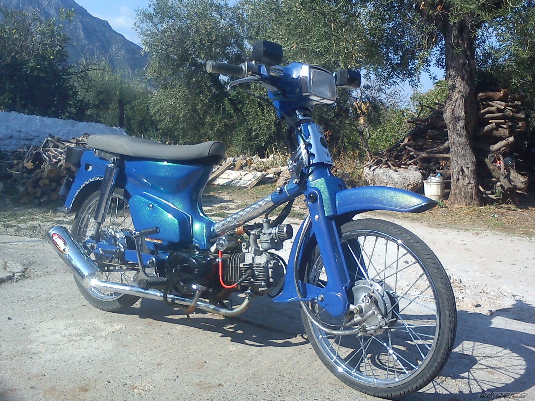 Photo 2294679