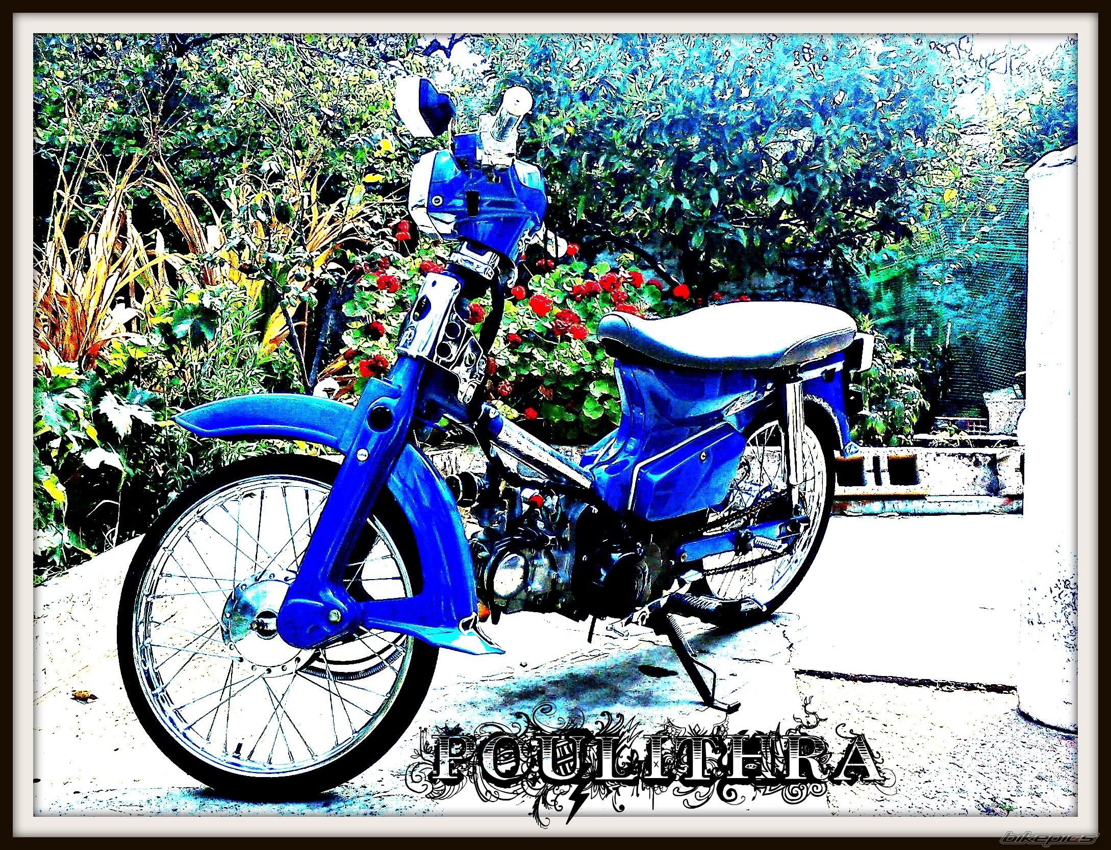 Photo 2294699