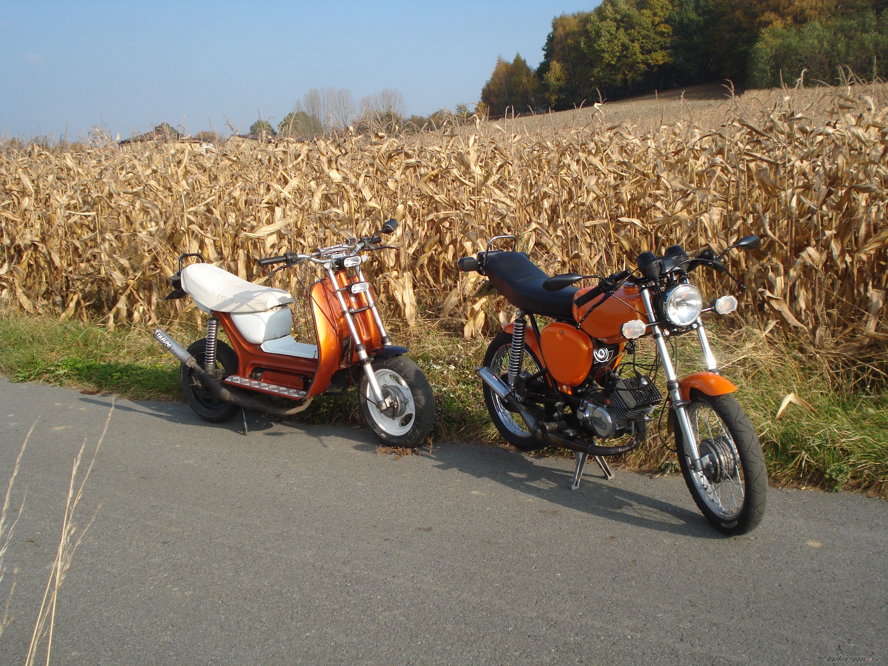 Photo 2294723