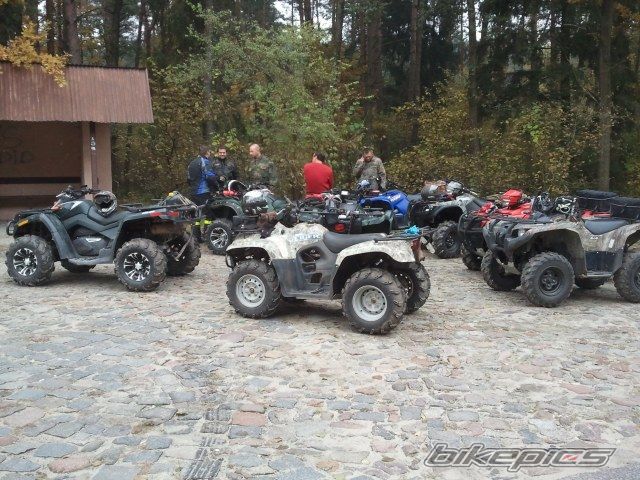Photo 2294744