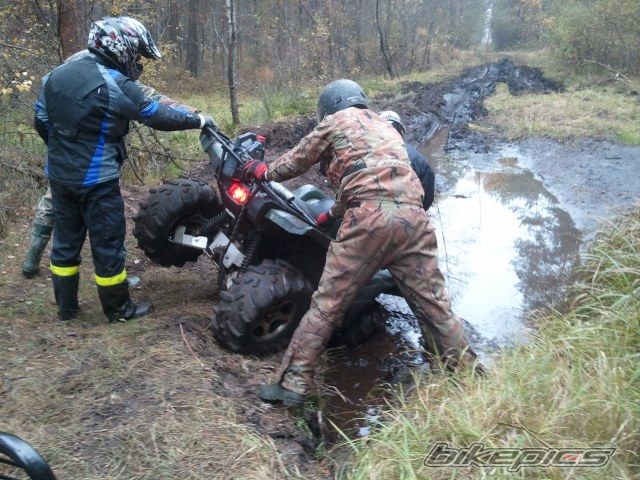 Photo 2294746