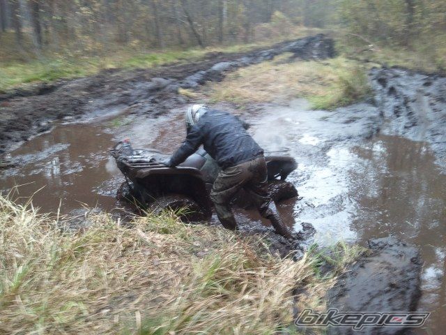 Photo 2294748