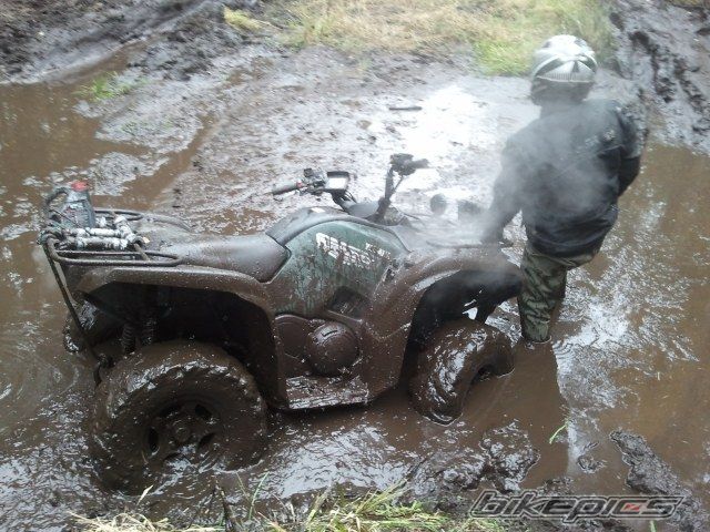 Photo 2294749