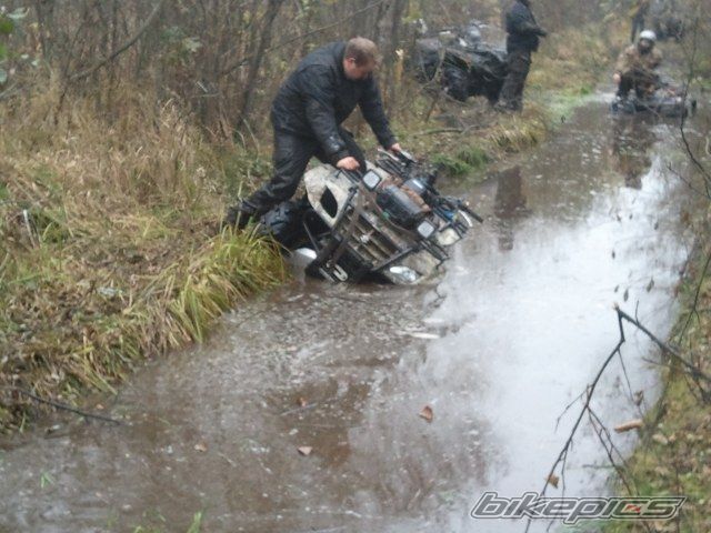 Photo 2294752