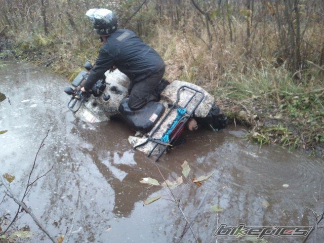 Photo 2294754