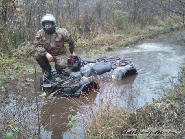 Photo 2294755