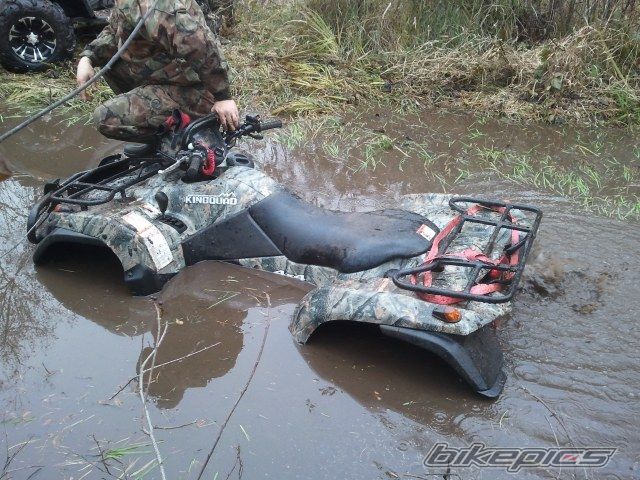 Photo 2294756