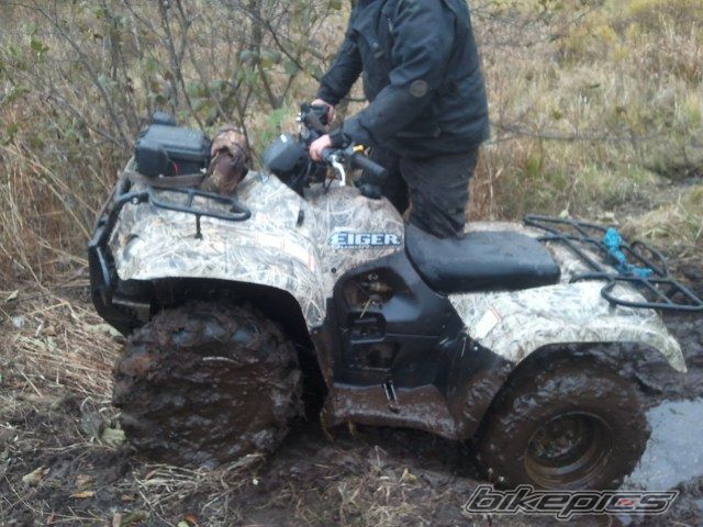 Photo 2294758