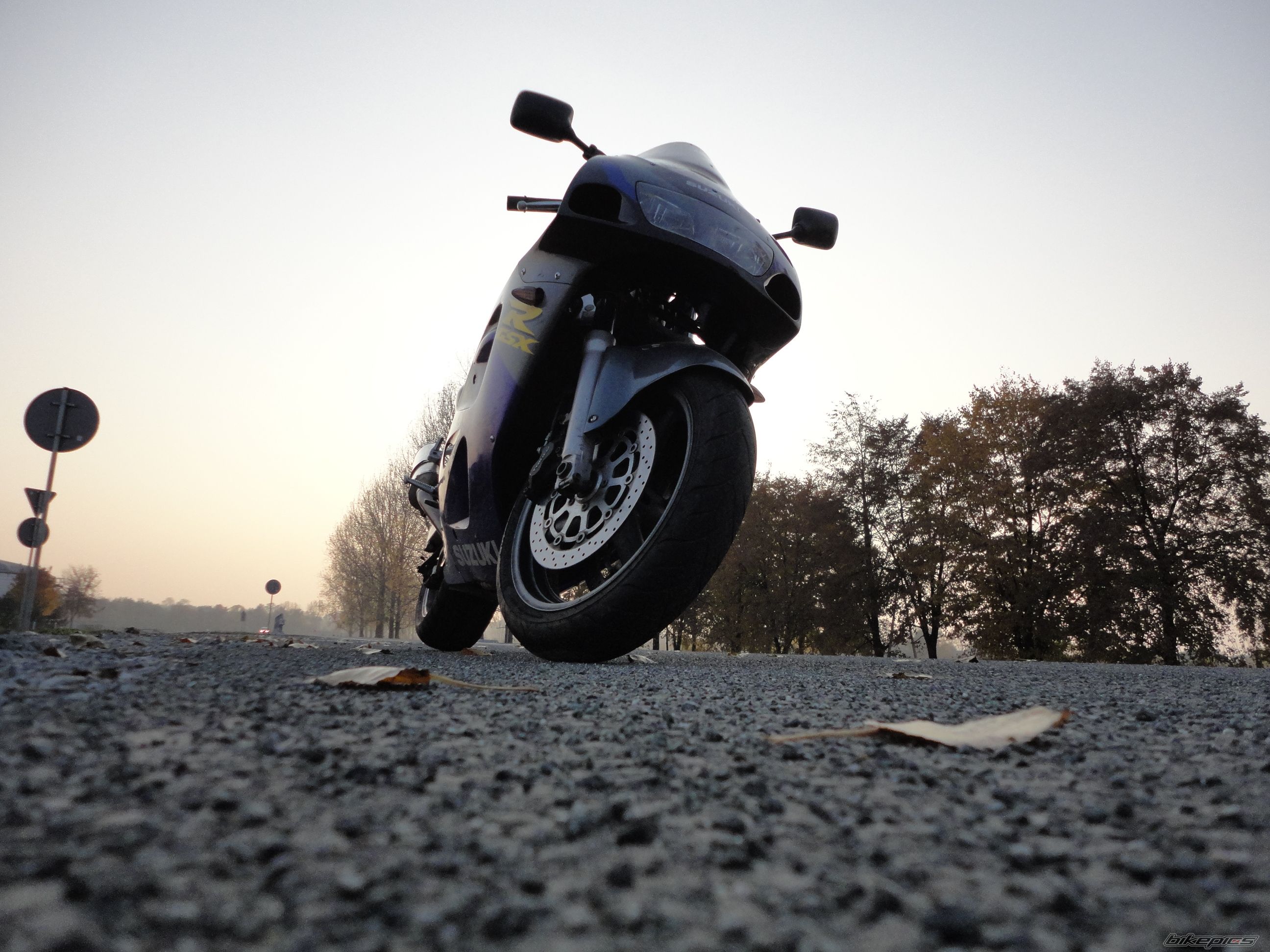 Photo 2294773