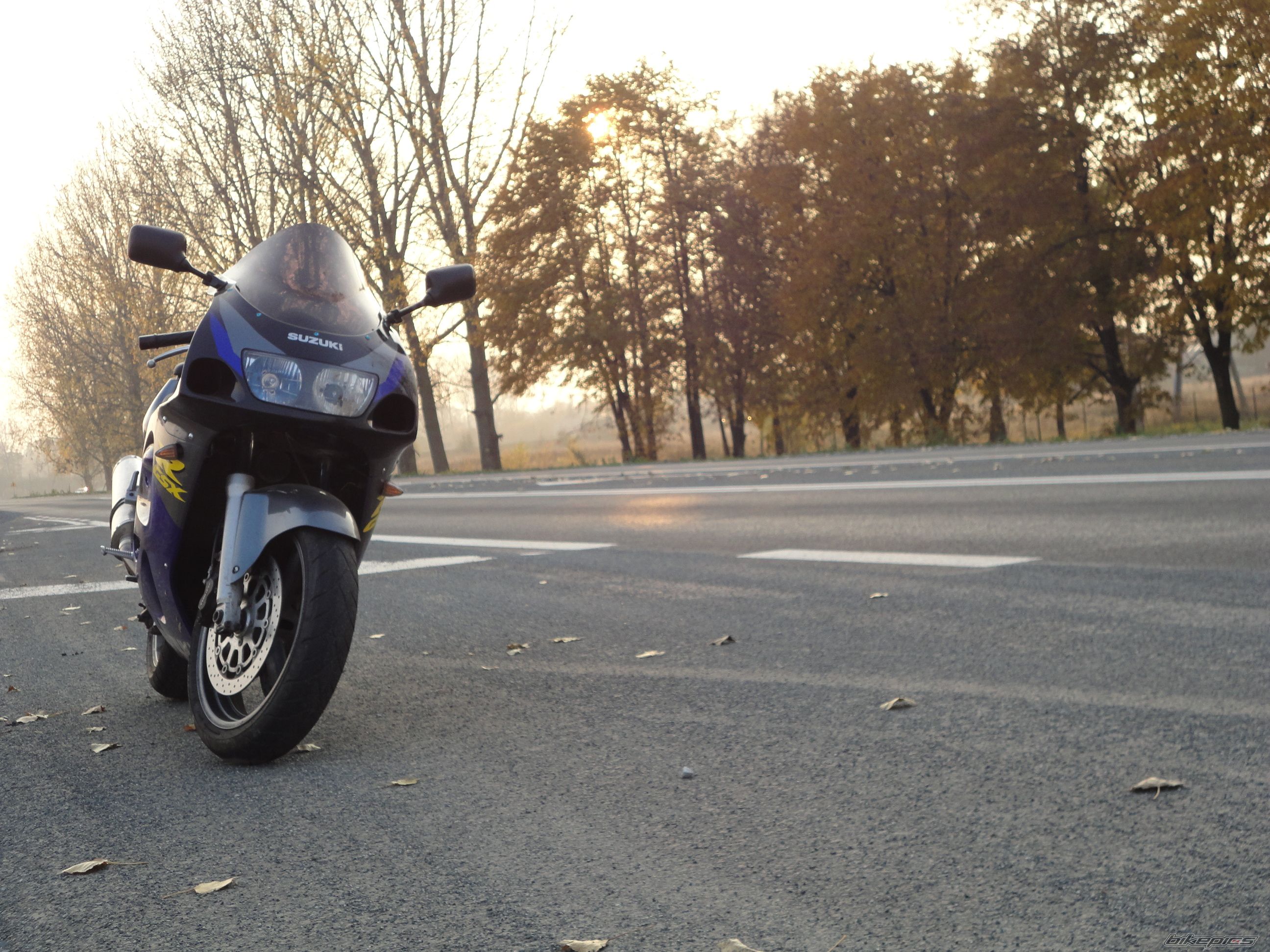 Photo 2294776
