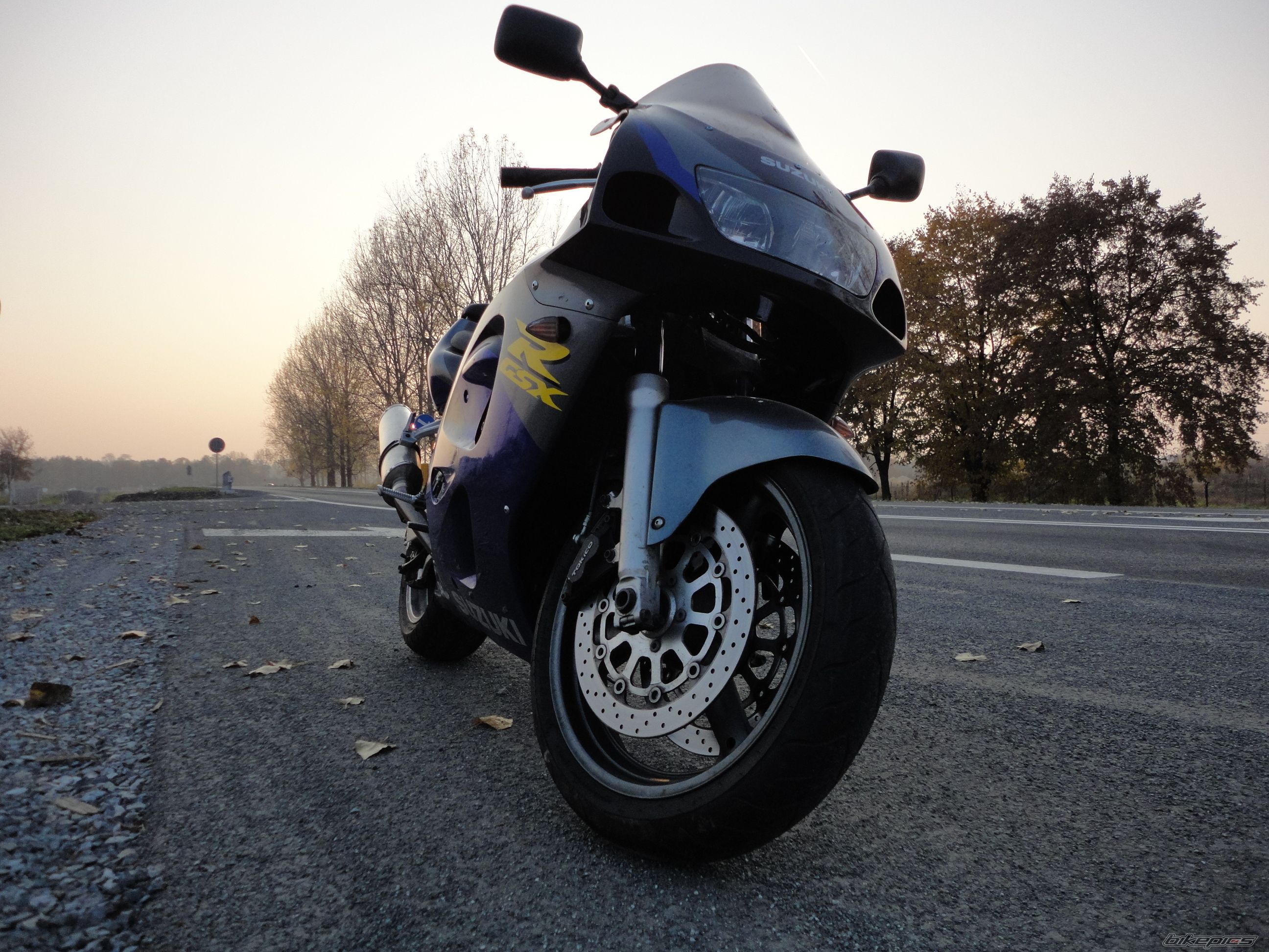 Photo 2294788