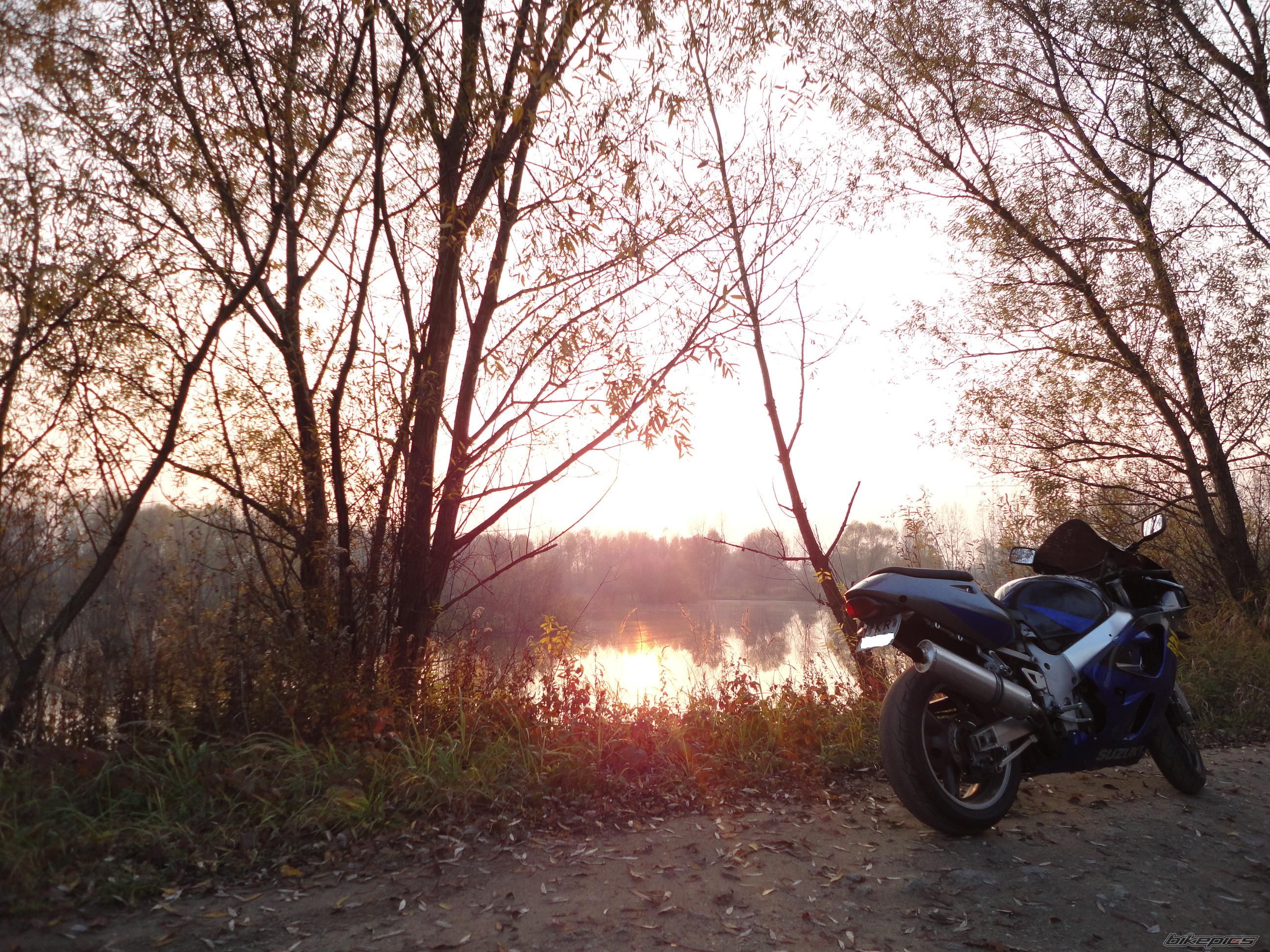 Bike Photo 2294792