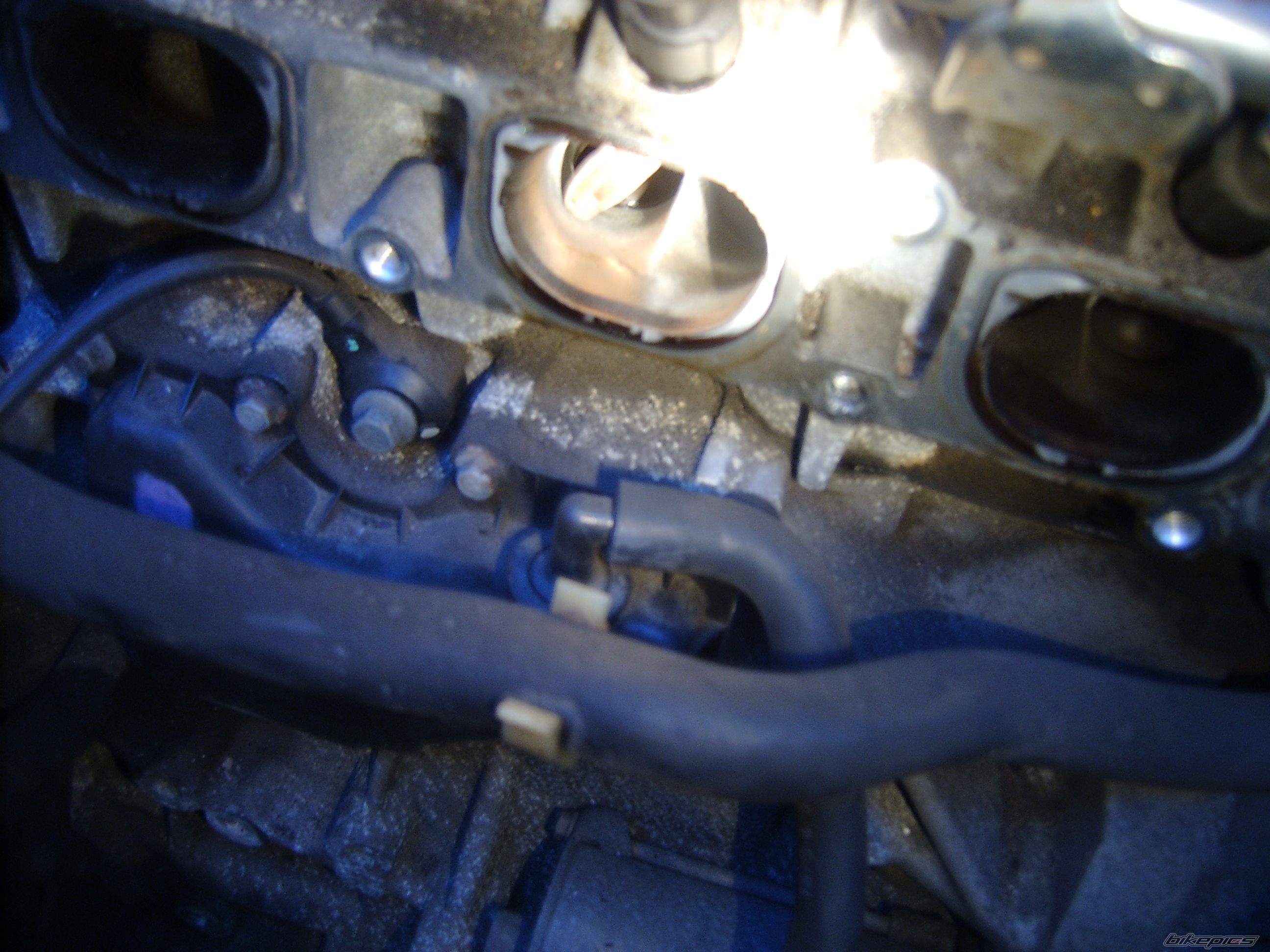 Photo 2294828