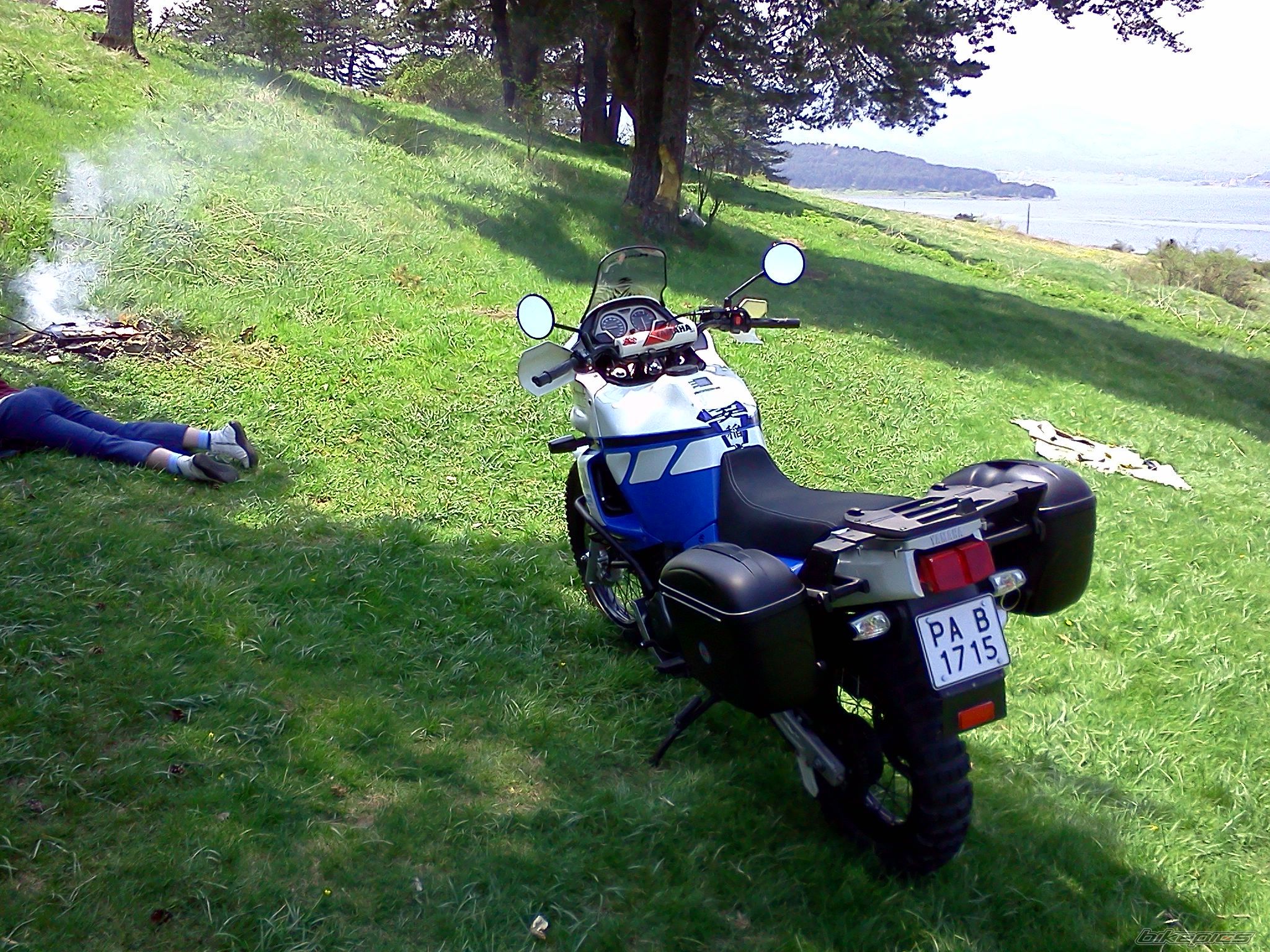 Photo 2294841