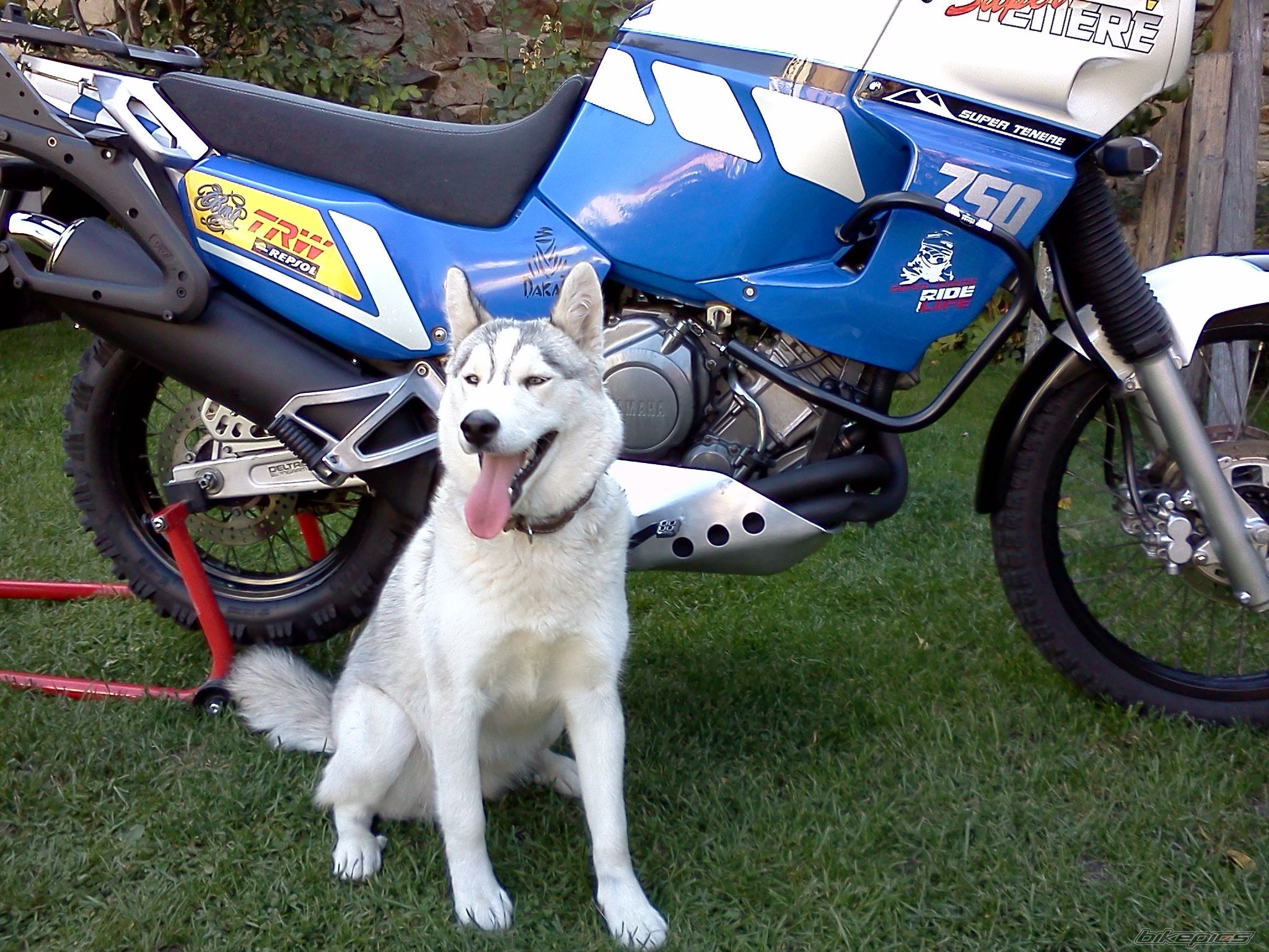 Bike Photo 2294843