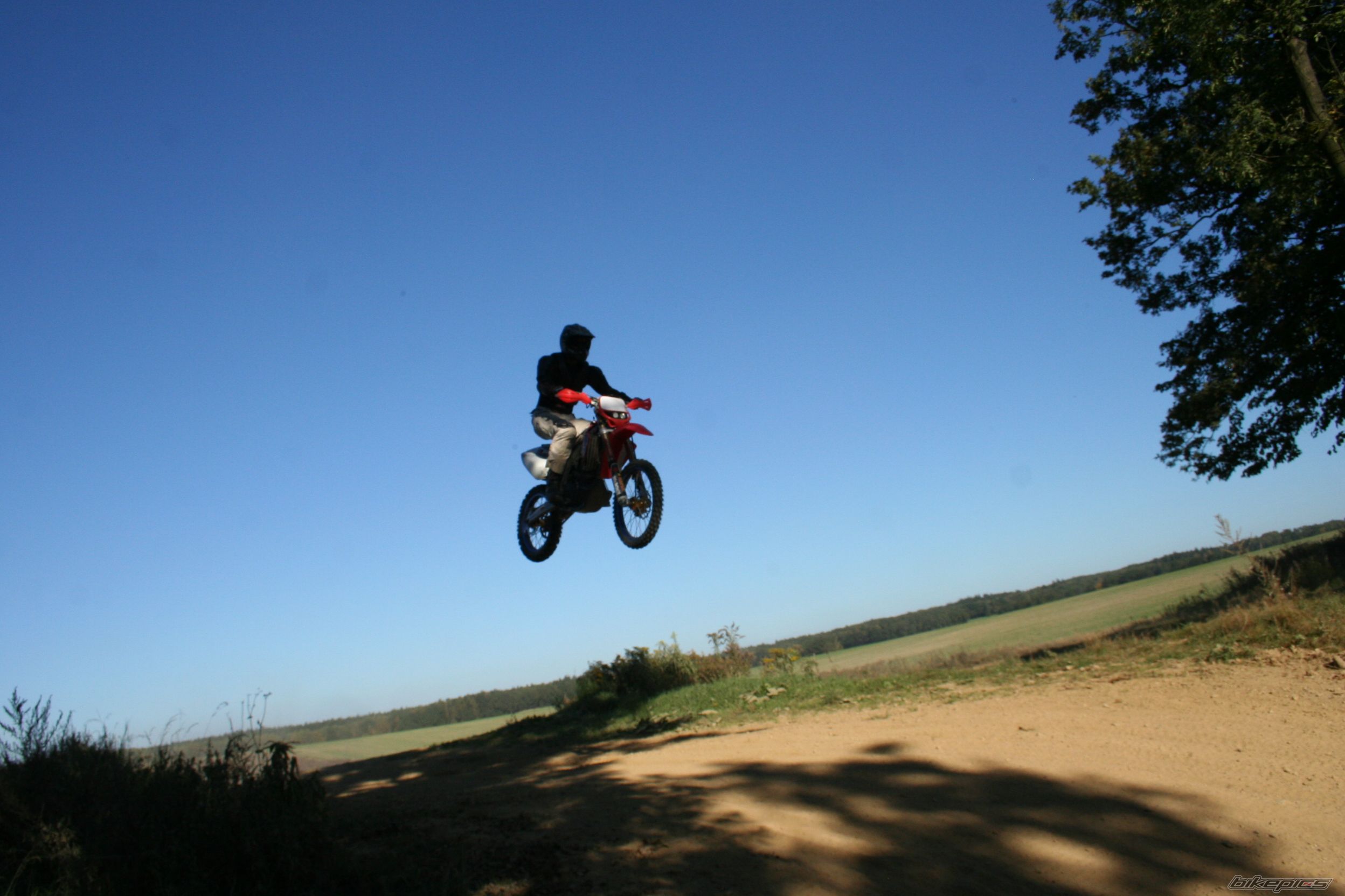 Photo 2294893