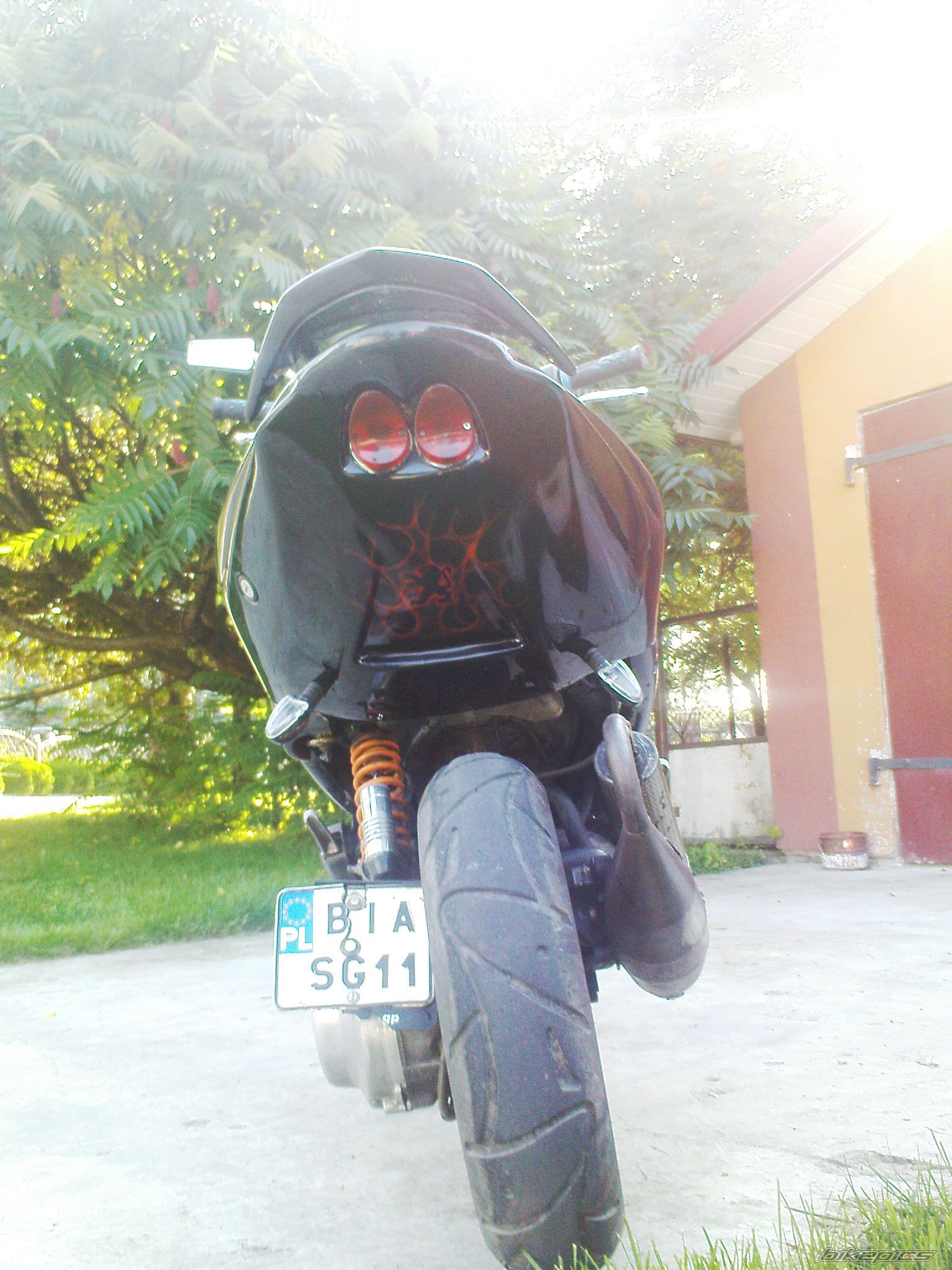 Photo 2294917