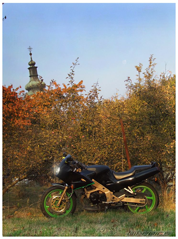 Bike Photo 2294920