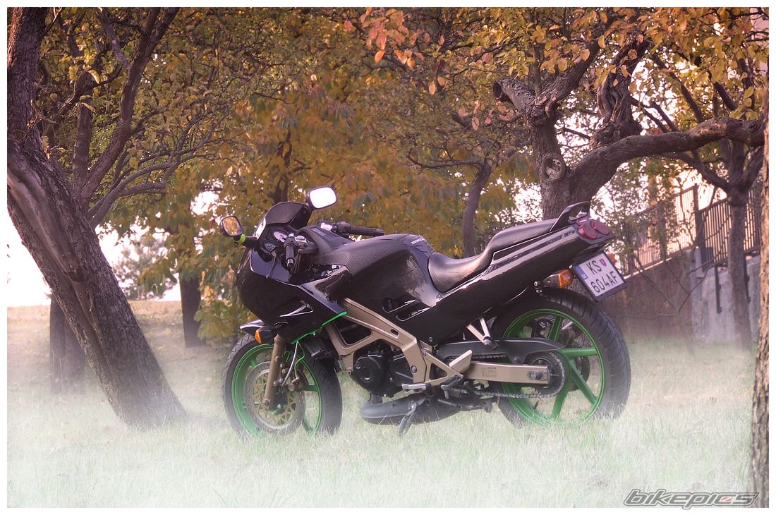 Bike Photo 2294921