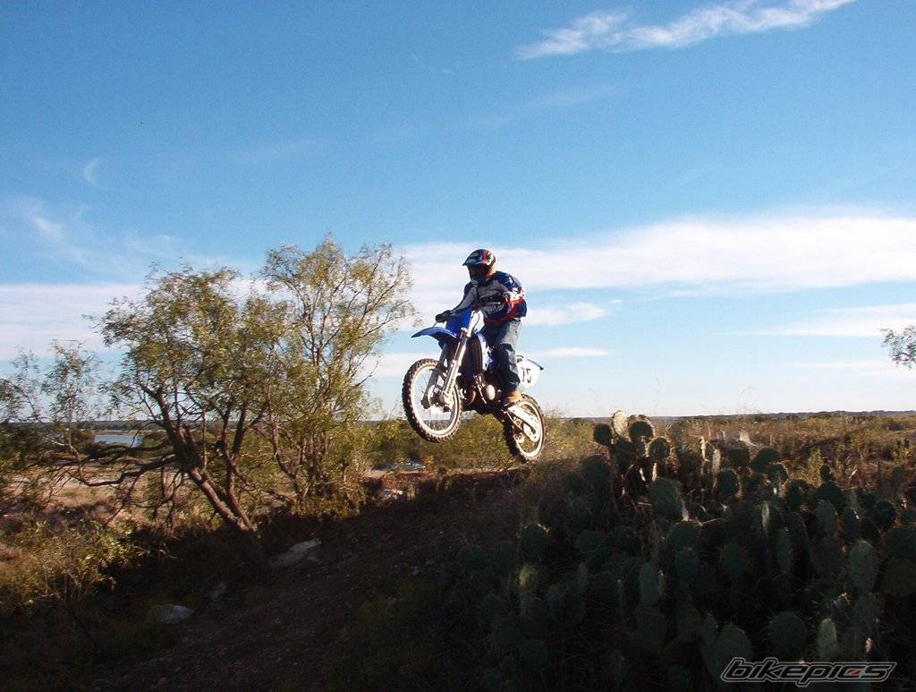 Bike Photo 229495