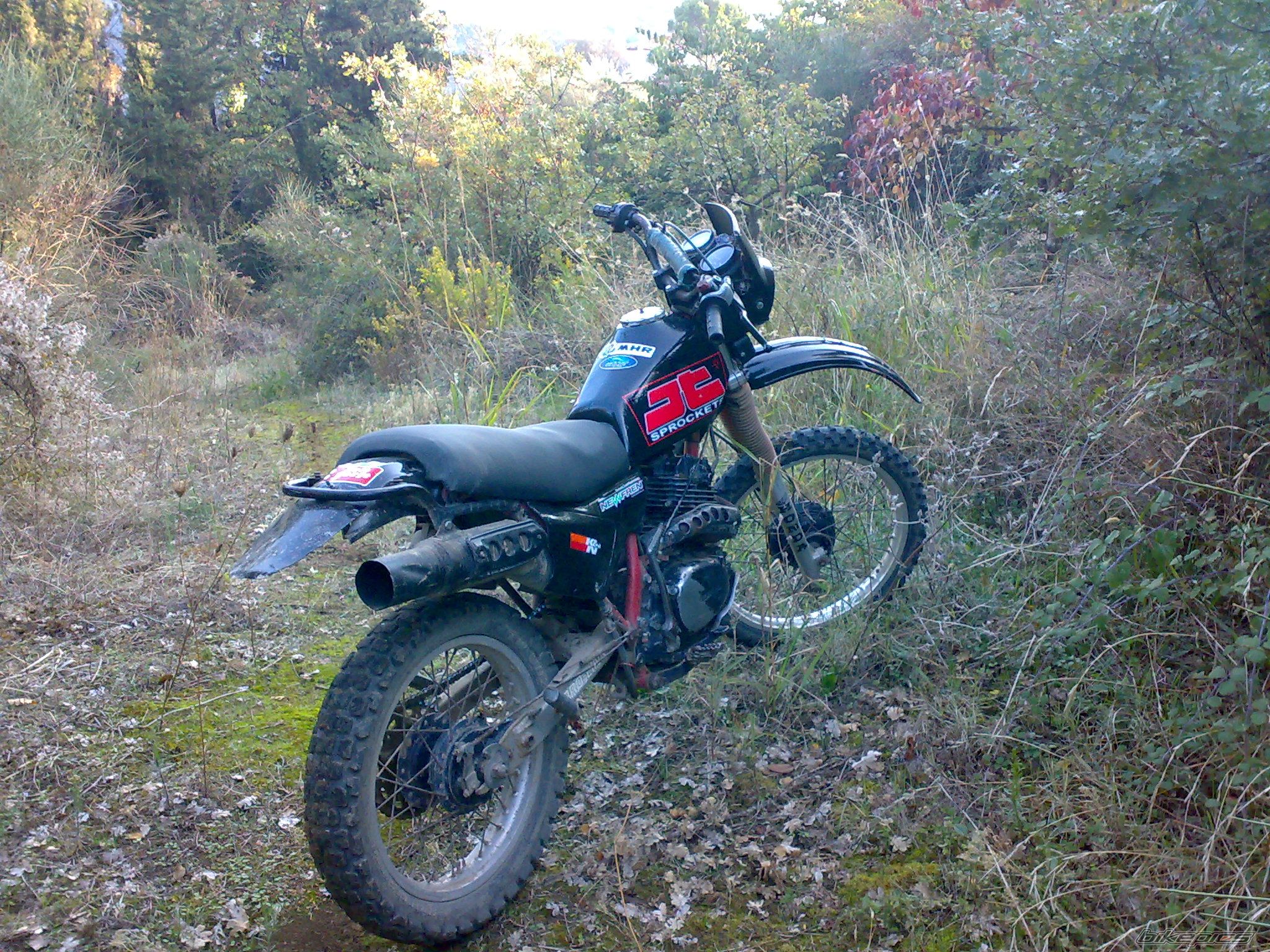 Photo 2294964