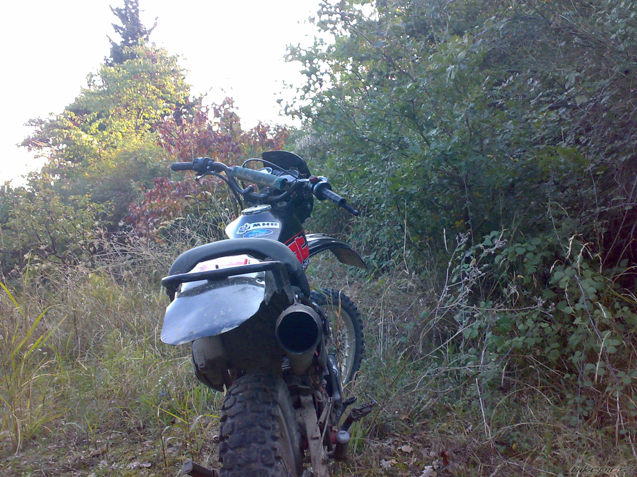 Photo 2294967