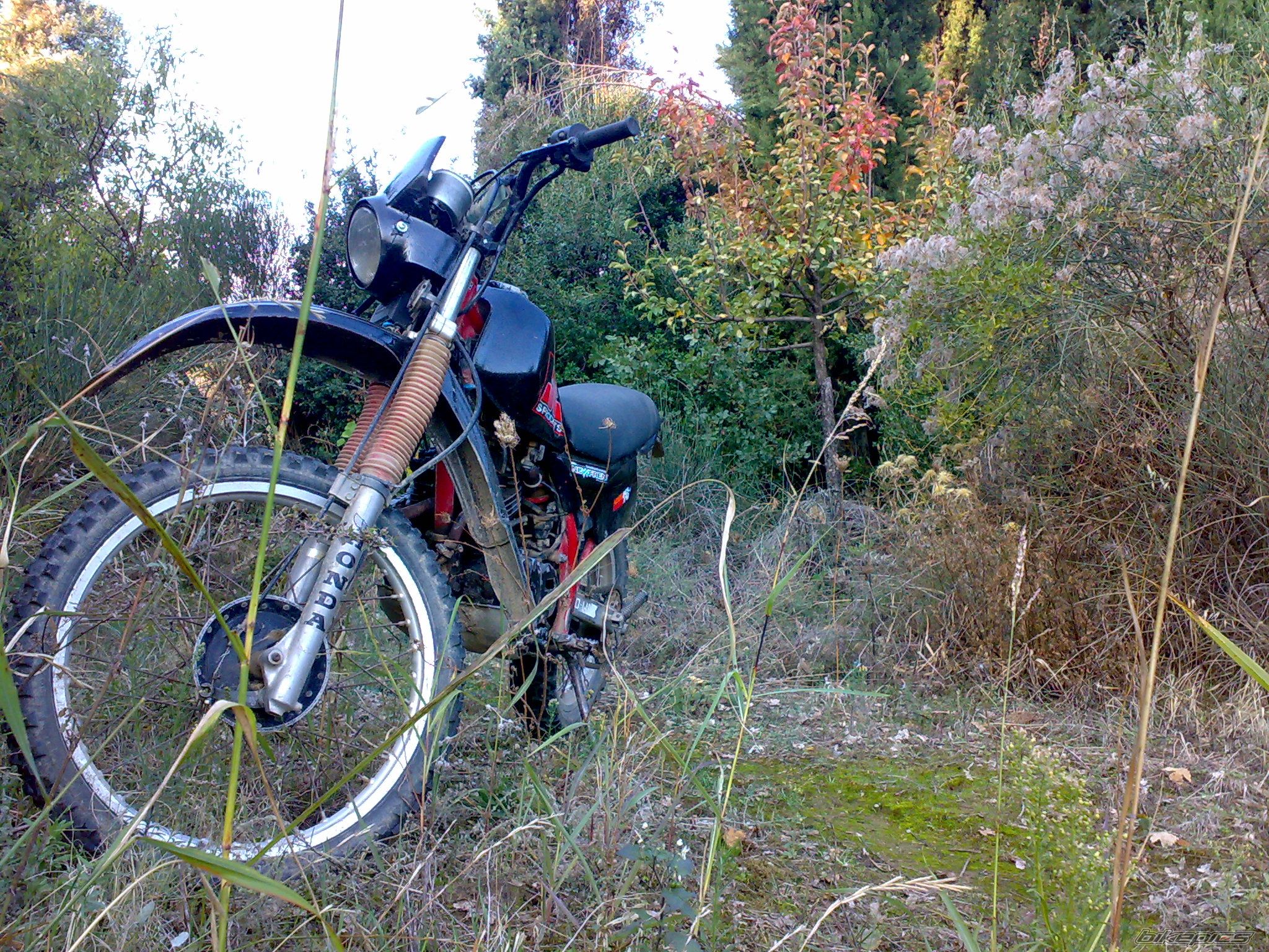 Photo 2294980