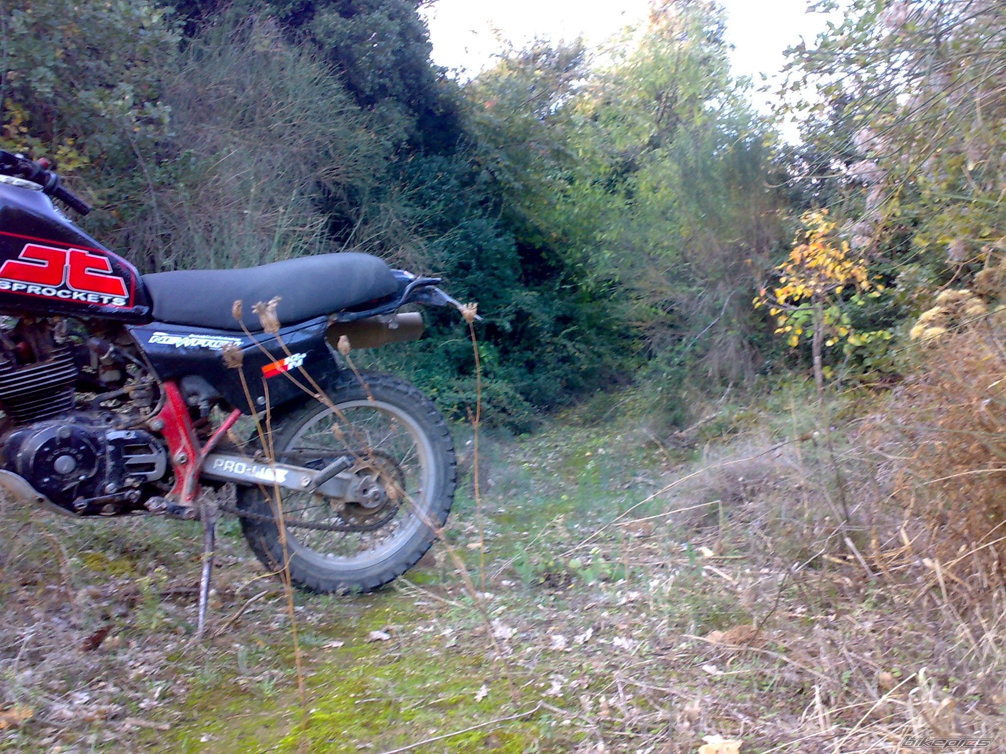 Photo 2294983