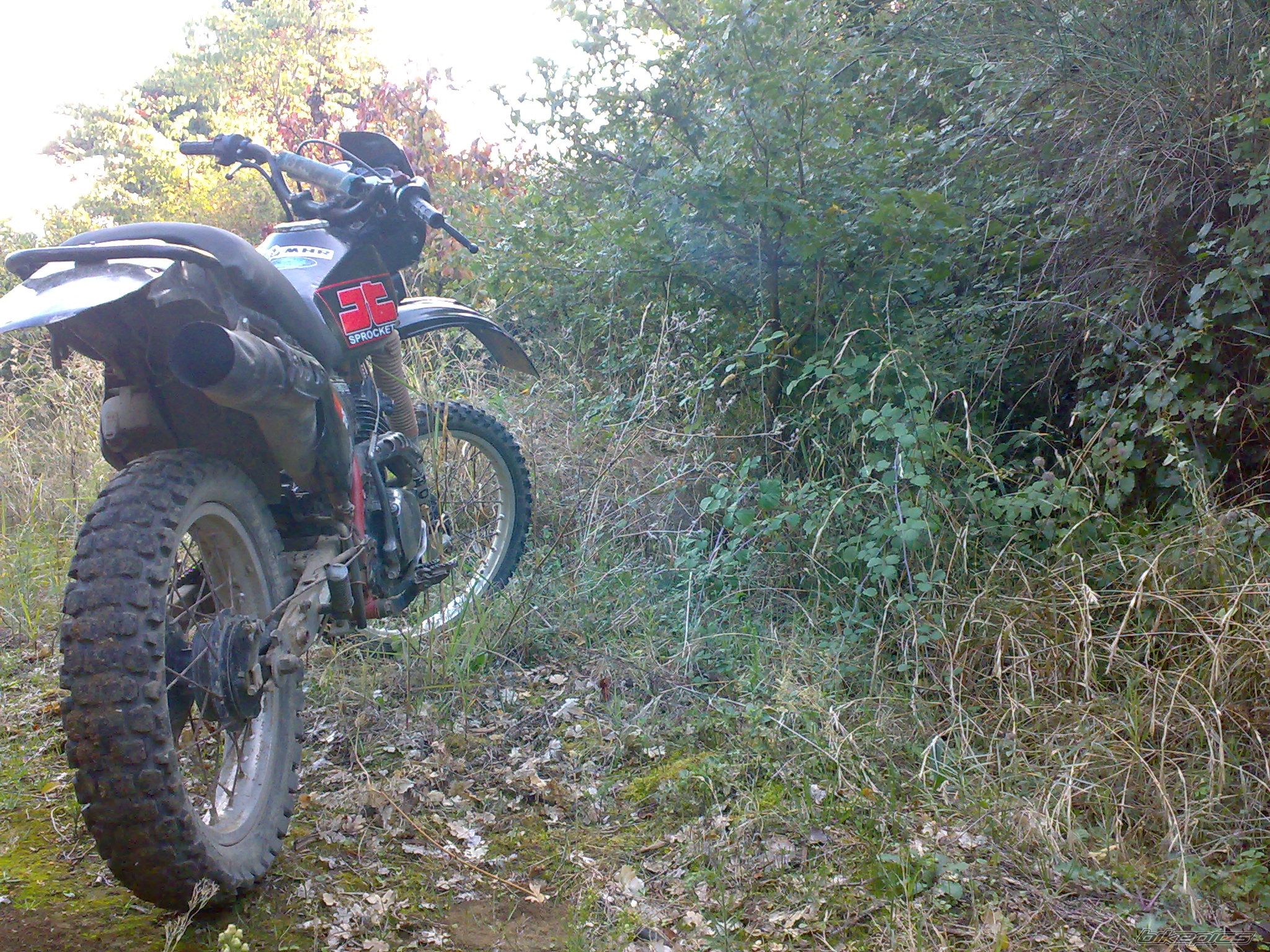 Photo 2294998