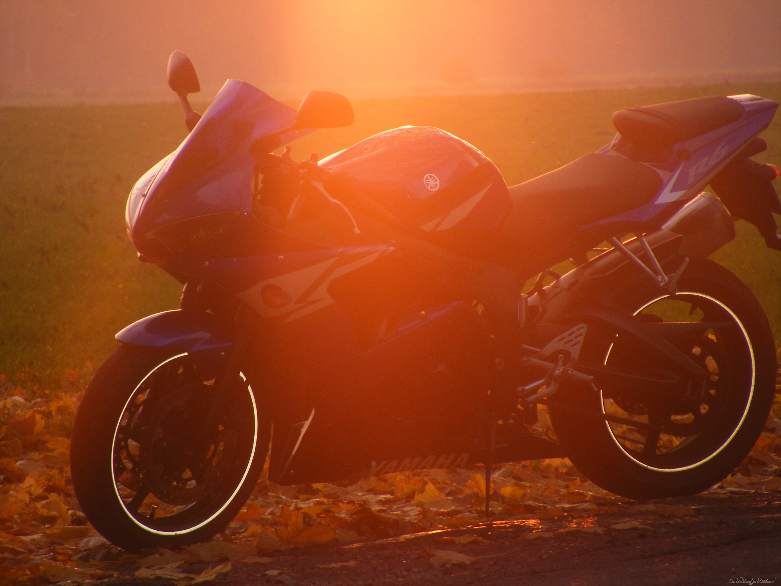 Photo 2295009