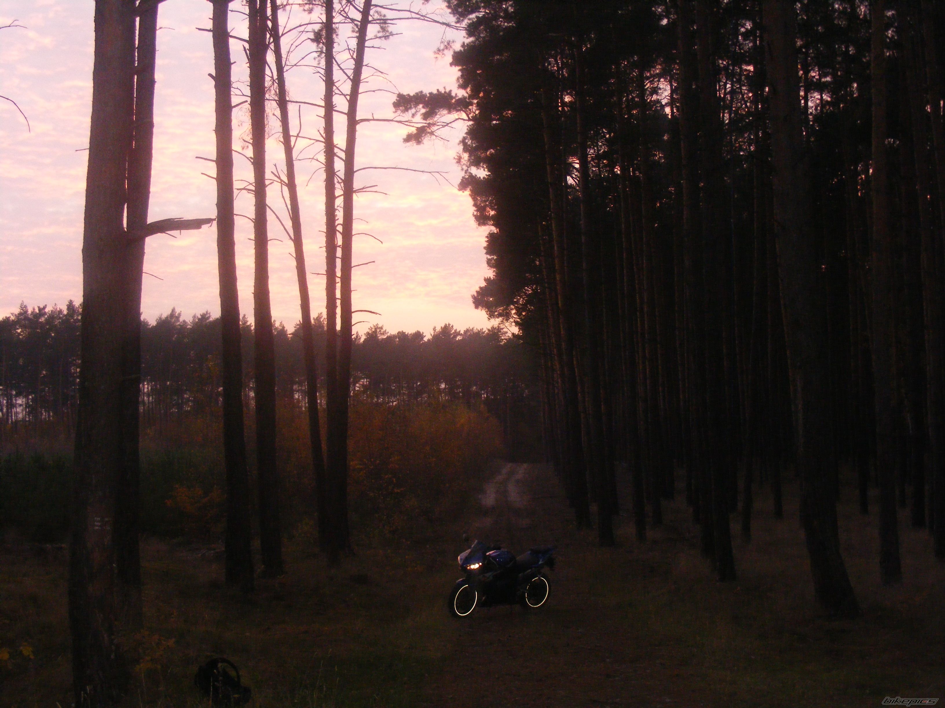 Photo 2295021