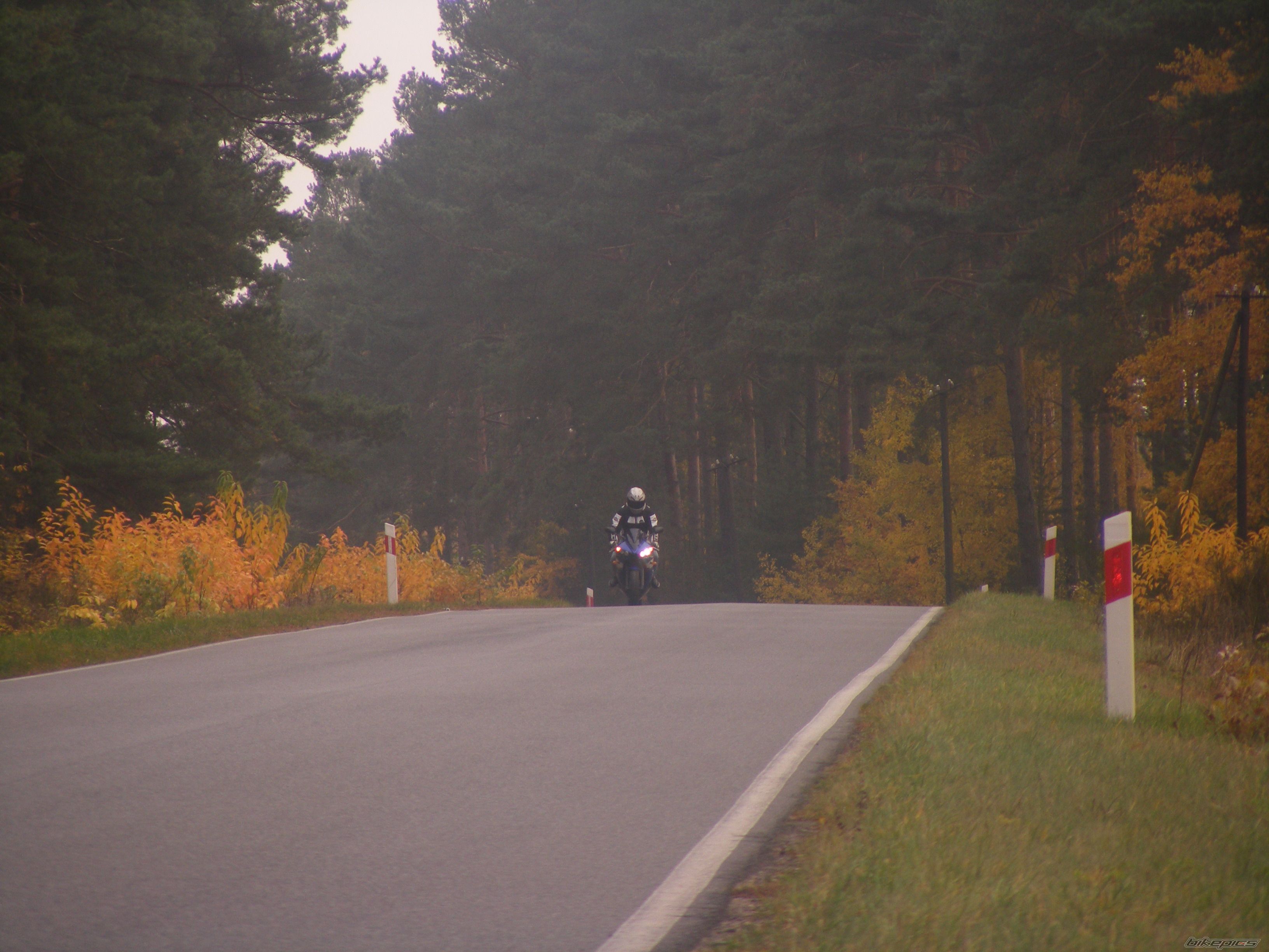 Photo 2295026